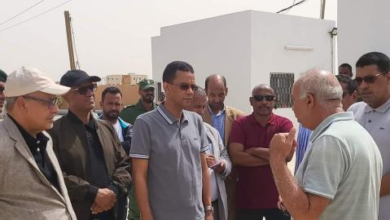 Inspection Visit by the Minister of Fisheries and Maritime and Port Infrastructure to Fish Market Projects in Nouakchott